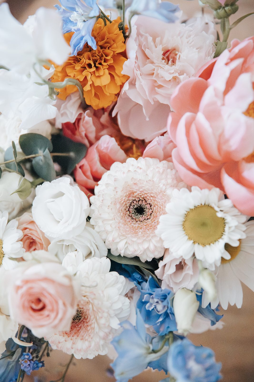 Détail d’un bouquet pastel — pivoines, gerberas et delphiniums